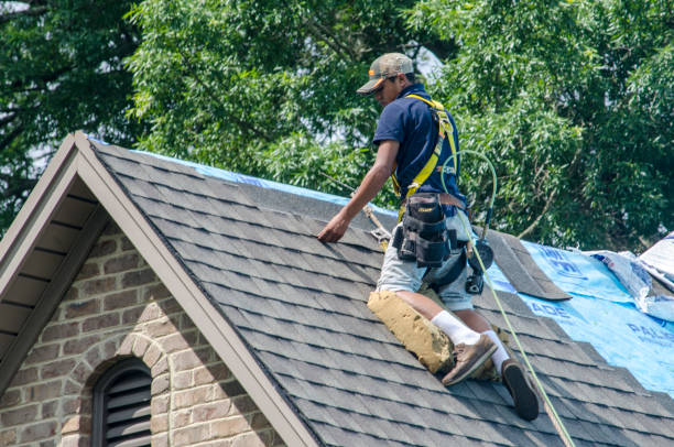 Best Commercial Roofing Services  in Wildwood, FL